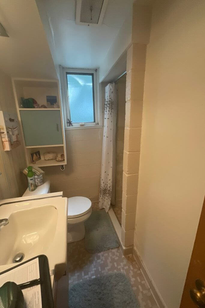 Frandor Lansing basement bathroom remodel by Odd Fellows Contracting