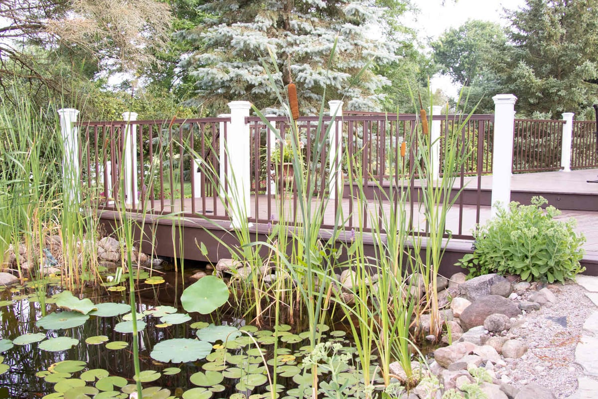 backyard deck by Odd Fellows Contracting in Williamston MI with natural pond and railing system